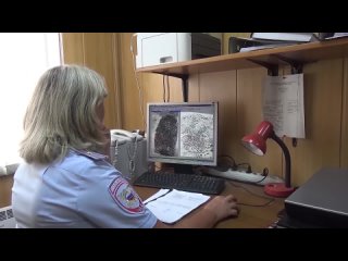 В Подмосковье задержаны лжегазовщики, обманувшие трёх пенсионеров
