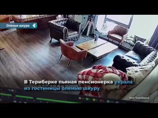 В Териберке пьяная пенсионерка воспользовалась отсутствием администратора и украла из гостиницы оленью шкуру.