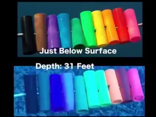 Как цвета меняются по мере погружения на глубину