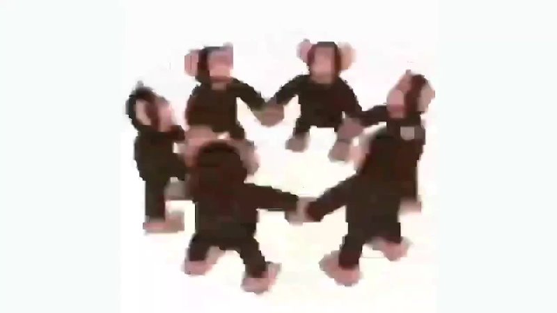 Happy Monkey Circle