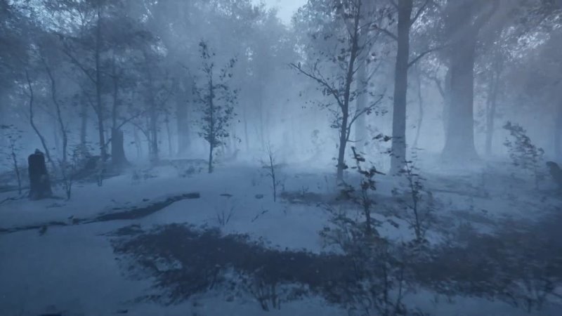 MAWI Broadleaf Forest   Unreal Engine 5   Roaming The Forest Winter #unrealengine #UE5 #gamedev