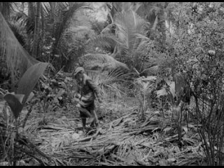 Lord of the Flies (1963) Wadca much