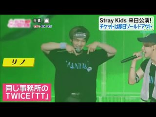 [220620] Stray Kids » Japan TV ’Asadesu’ (1)