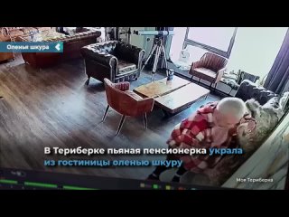 В Териберке пьяная пенсионерка украла из гостиницы оленью шкуру