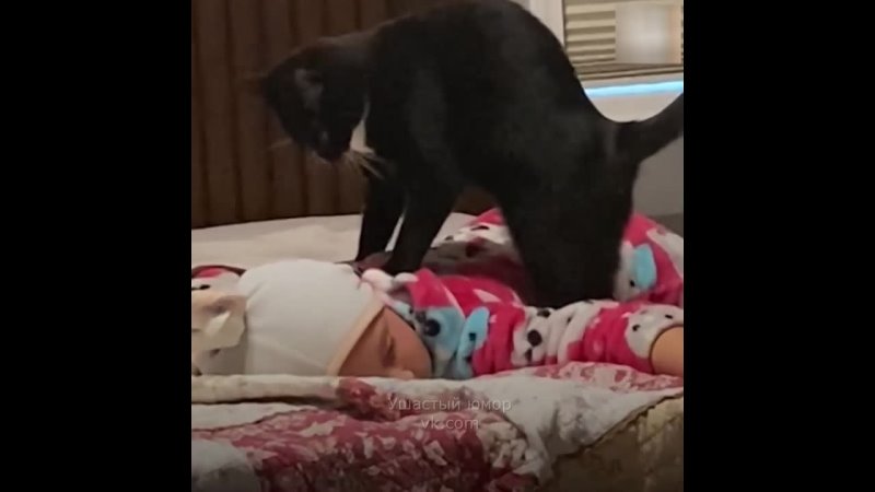 Мама застукала кота с ребенком 🙀
