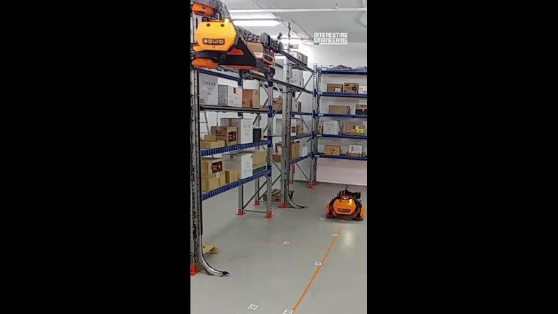 Working as a fleet, these automated warehouse robots can