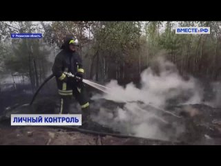 Вице-премьер, глава МЧС и мэр Москвы прибыли в Рязанскую область, где идет борьба с крупным лесным пожаром