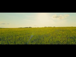 Galibri / Mavik - Лампочки