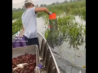 Почему он наживку не кладёт? Раки больше не придут. Да и рак че то мелкий - Андрей Щегорец