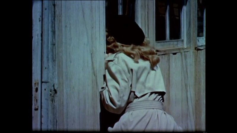 Eve and the Handyman (1961) (