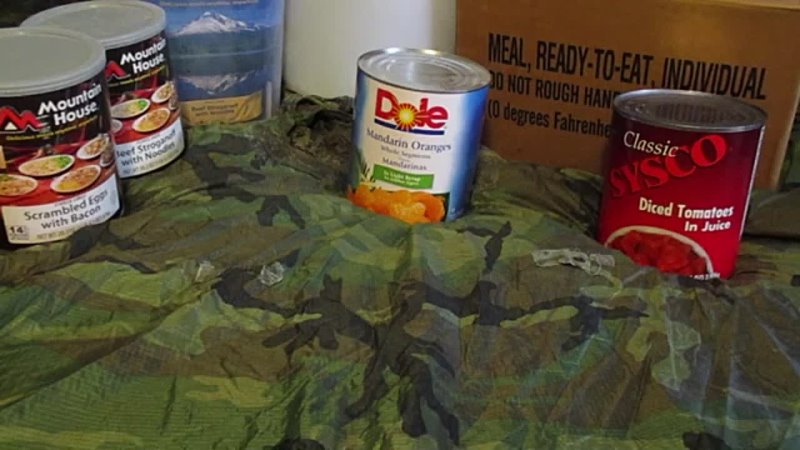 Militia Logistics Militia Unit Food Collection, Donations For