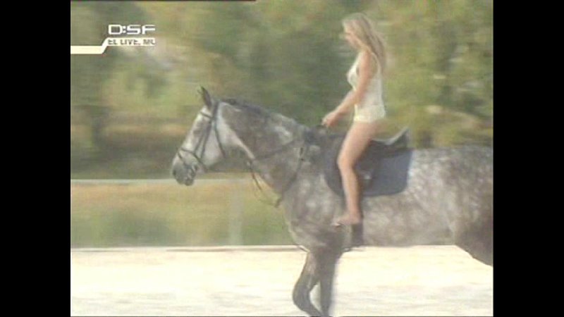 54 Sexy Sport Clips Reitplatz Ретро. Винтажное