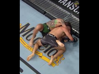 UFC 265
Висенте Луке vs Майкл Кьеса