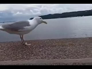 Наступает возраст, когда секс уже не стоит на первом месте