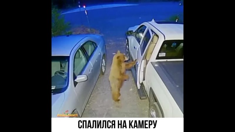 на камеру