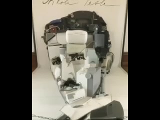 3D Anamorphosis Nikola Tesla