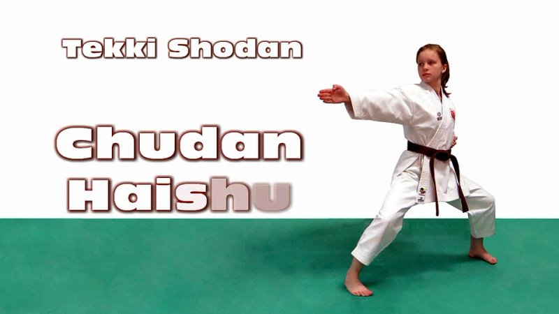 DrobyshevskyKarateSystem:Tekki Shodan-Combat Bunkai-2-Chūdan Haishu Uke-Stick Disarm