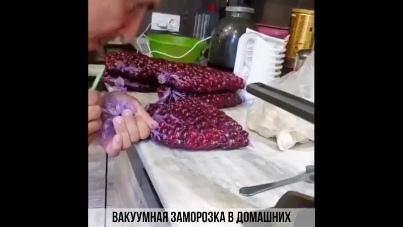 Вакуумная заморозка в домашних