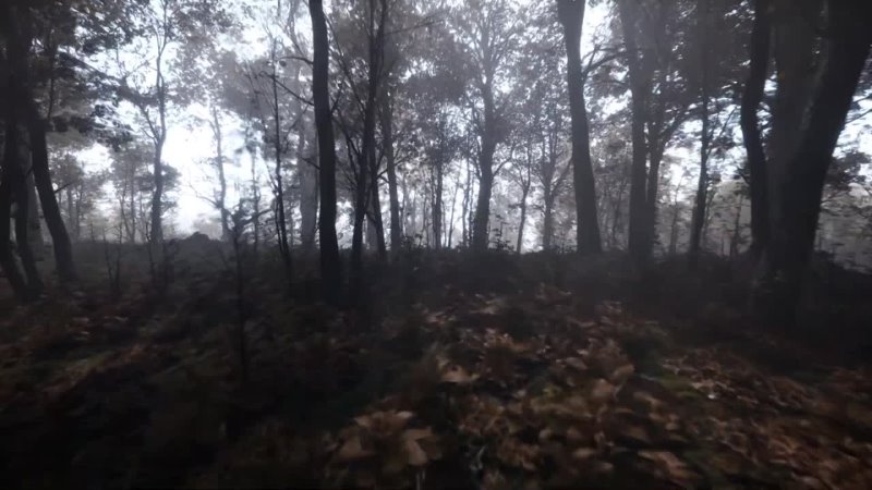 MAWI Broadleaf Forest   Unreal Engine 5   Roaming The Forest Autumn #unrealengine #UE5 #gamedev