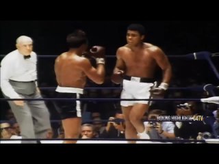 TOP 10 Muhammad Ali KNOCKOUTS