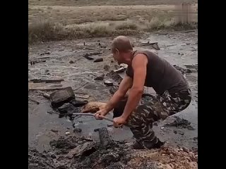 спасение собаки в деревне