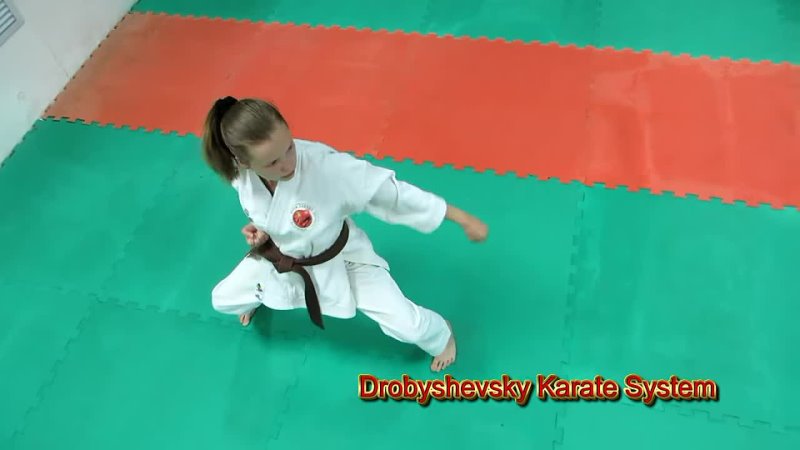 Drobyshevsky Karate System: Tekki Shodan Combat Bunkai First Six Combinations Kuro Obi