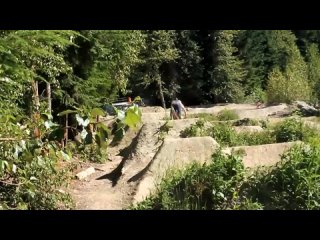 Max Langille Early Summer Mix