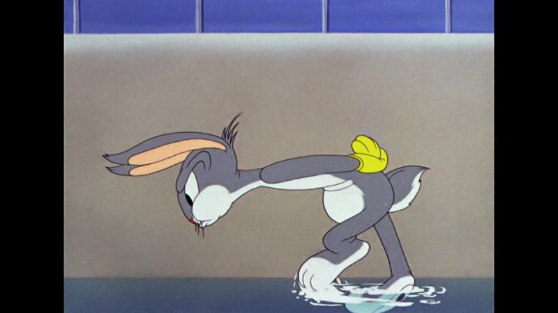 Looney Tunes S07 E20 Elmers Pet