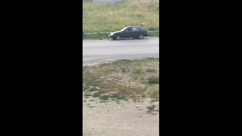 Видео Инцидент Каменск Уральский