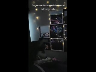 Husky discovers sound-activated lights