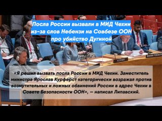 Посла России вызвали в МИД Чехии из-за слов Небензи на Совбезе ООН про убийство Дугиной
