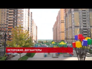 Осторожно, догхантеры