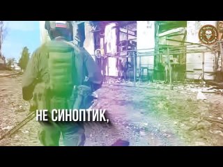 Музыканты