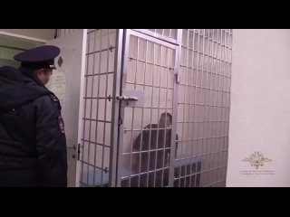 Авиадебошира задержали на рейсе Южно-Сахалинск – Новосибирск