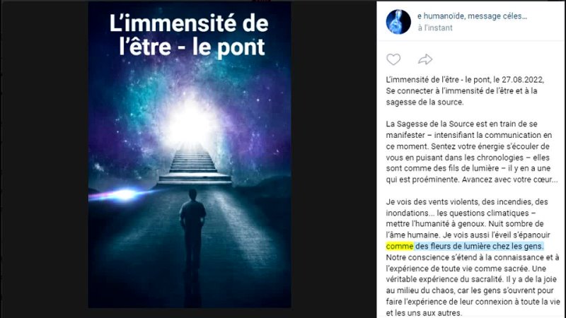 L immensité de l être le pont,