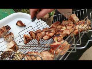 После шашлыков на речку ... зарисовки у друзей в Иваново.