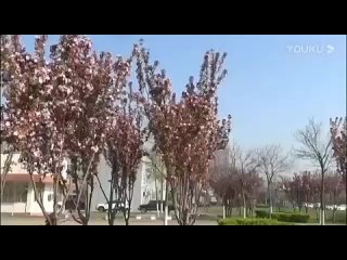 賈氏青萍對劍講解(全六路) 張潤澤 第二路·運斤生風