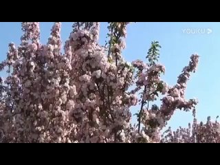 賈氏青萍對劍講解(全六路) 張潤澤 第一路·迎風揮扇