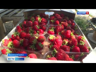В Ивановской области продолжается развитие агростартапов