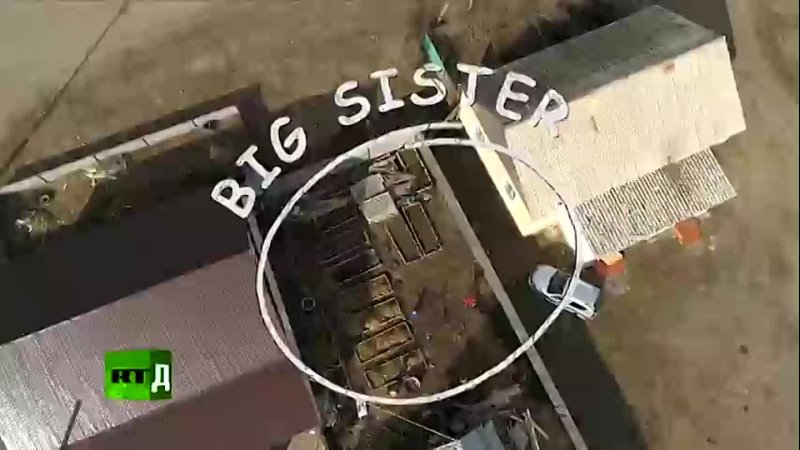 Big Sister / Большая сестра
