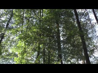 Ленинский парк