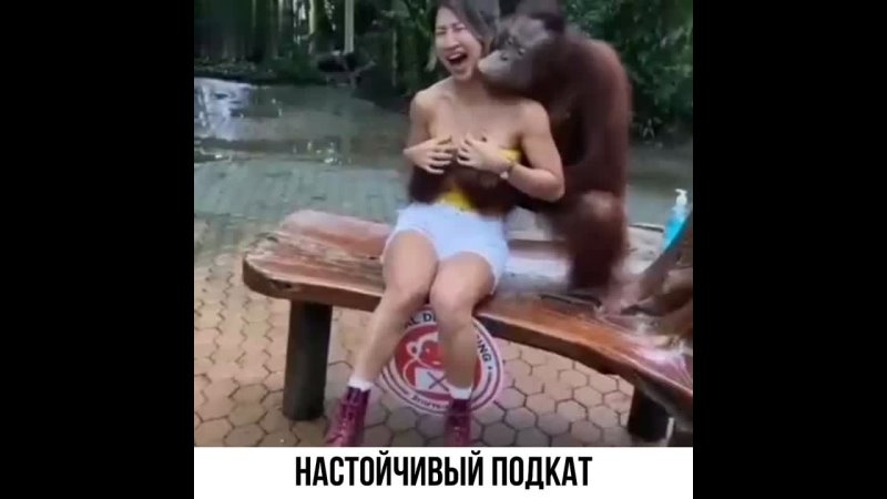 Настойчивый