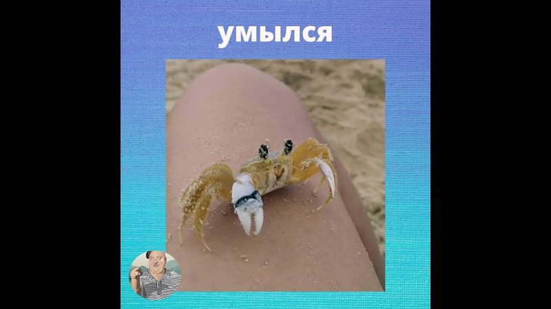 Проснулись