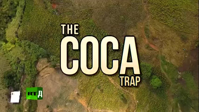 The Coca Trap, Кока