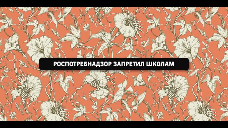 Шведы назвали ребенка В. Путиным, Конец какашкалипсиса, В