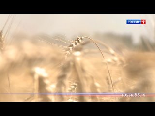 Горячая пора — для аграриев. Где в регионе активно идет уборочная кампания