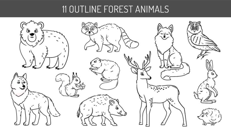 Лесные животные. Часть 1. Отрисовка