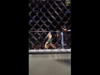 UFC269
Шон О’Мэлли vs Раулиан Пэйва