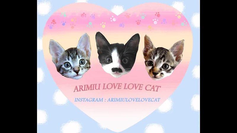 Cute kitler cat episode17 Ari Miu Love Love