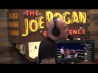 Fight Companion   The Joe Rogan Experience Podcast
